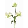 Dekorativní květina Gloriosa XELA, bílo-zelená, 50cm, Ø4-7cm