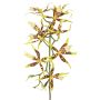 Umělá větev orchideje brasie ORELA, žlutočervená, 90cm