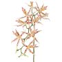 Umělá větvička brasie orchidejové ORELA, bílo-červená, 90cm