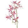 Umělá větev orchideje brassia ORELA, růžovo-fuchsiová, 90cm