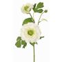 Umělý ranunculus SAGARA, bílo-zelený, 45cm, Ø5-9cm