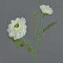 Umělý ranunculus SAGARA, bílo-zelený, 45cm, Ø5-8cm