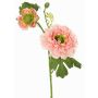 Umělý ranunculus SAGARA, růžovo-zelený, 45cm, Ø5-9cm