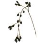 Umělá ostružinová větev URUMA s plody, černá, 100cm