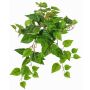 Dekorativní břečťanová závěsná rostlina SHELLEY na tyči, Eco Collection, zelená, 55cm