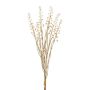 Umělý trs pukléřky VILMO, bobule, suchý vzhled, béžová, 50cm