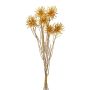 Dekorativní svazek kulovitého bodláku DRAVLE, zlatý, 45cm