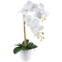 Dekorativní květina orchidej Phalaenopsis BLENTOR v melaminovém květináči, kořeny, bílá, 55cm
