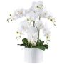 Dekorativní květina Phalaenopsis orchidej TOUNI, keramický květináč, kořeny, bílá, 60cm