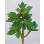 Umělá echevérie gibbiflora TROY, zápich, zelená, 17cm, Ø9cm