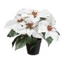 Umělá poinsettie FRIZO v dekorativním květináči, bílá, 26cm