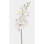 Umělá větev orchideje Phalaenopsis AXELOR, bílá, 85cm