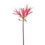 Umělá zahradní amaryllis XAVLER, růžová, 80 cm