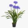 Velká umělá rostlina agapanthus LESEDA v dekorativním květináči, modrá, 105cm