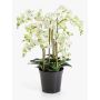 Umělá květina orchidej Phalaenopsis FINEA v dekorativním květináči, krémová, 85 cm