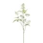 Umělá větev Asparagus Plumosus PLAVIN, zelená, 130cm