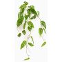 Umělá závěsná rostlina Philodendron monstera adansonii RATLEV na tyči, 90cm