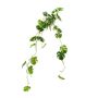 Umělá závěsná rostlina Philodendron monstera deliciosa GRINTO na tyči, 80cm