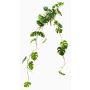 Umělá závěsná rostlina Philodendron monstera deliciosa GRINTO na tyči, 80cm
