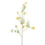 Dekorativní větev plaménku LENOMA, žlutá, 115cm