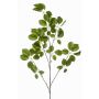Dekorativní větev Schefflera KRUVEN, zelená, 120cm