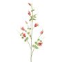Dekorativní větev plaménku LENOMA, růžová, 115cm