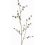 Umělá Stirlingia latifolia COLLAN, černobílá, 75cm, Ø1cm