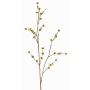 Umělá Stirlingia latifolia COLLAN, zelenožlutá, 75cm, Ø1cm