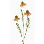 Umělá třapatka CELIO, meruňková, 70cm, Ø6-7cm