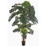 Umělá monstera deliciosa CHORA, 190cm