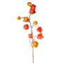 Umělá větev physalis PERSEI s plody, oranžová, 80 cm