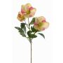 Umělá vánoční růže AKRAB, krémově růžová, zeleno-fuchsiová, 45cm, Ø5-8cm