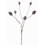 Umělé makové kapsle ASUMAN, tmavě hnědé, 70cm, Ø2-3cm