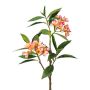 Dekorativní větev frangipani DRIFEN, žlutorůžová, 110cm