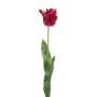 Dekorativní papouščí tulipán LUNIA, fuchsiový, 70cm