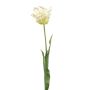 Dekorativní papagájová tulipán LUNIA, bílá-zelená, 70cm