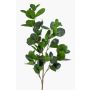 Umělá větev Ficus Panda BANDE, zelená, 90cm