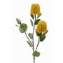 Umělá květina Banksia CONAKIR, žlutá, 70cm