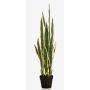 Umělá Sansevieria ELENE, zeleno-žlutá, 95cm