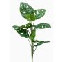 Art Philodendron Monstera Deliciosa BERLANGA, hůl, 75 cm