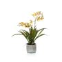 Umělecká orchidej oncidium COLUNGA v keramickém květináči, žlutooranžová, 45 cm