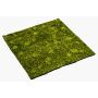 Umělá spací mechová podložka FERMIN, zelená, 100x100cm