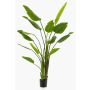 Umělá Strelitzia BEDAR, zelená, 180 cm