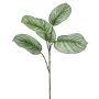 Umělá větvička calathea orbifolia ALNIYAT, zeleno-bílá, 75cm