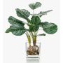 Dekorační kalatea orbifolia AGINA ve skleněném květináči, zelenobílá, 45cm