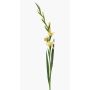 Umělá gladiola AJNUR, žlutá, 125cm