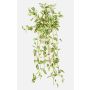 Umělá rostlina Tradescantia zebrina DIHALLO na tyči, závěsná, zelenobílá, 70cm