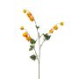 Dekorativní větvička Physalis TIRFEL s plody, žlutooranžová, 95cm