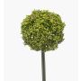Umělé allium TUXLON, zelené, 75cm