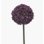 Umělé allium TUXLON, tmavě fialové, 75cm